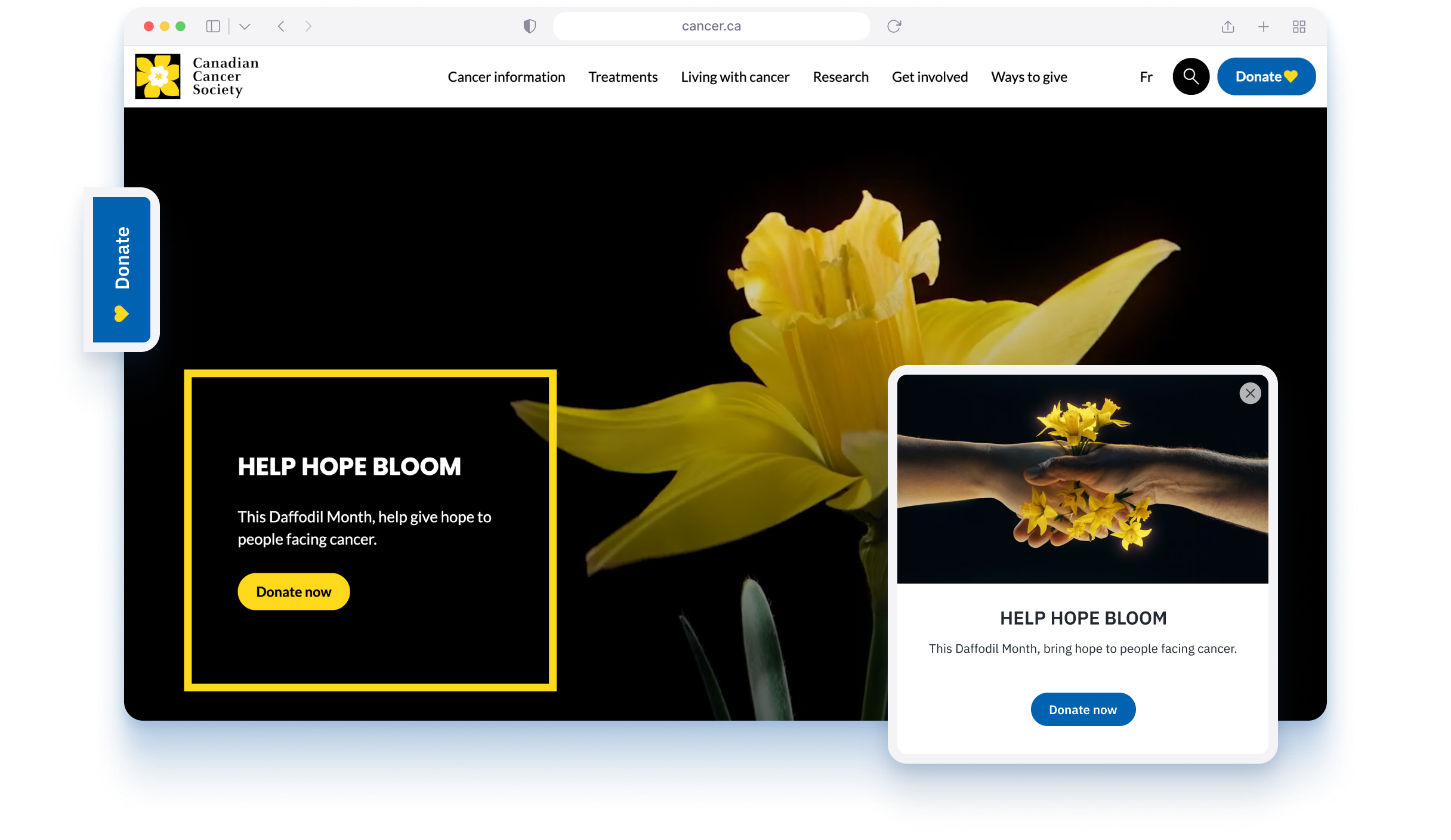 Canadian Cancer Society