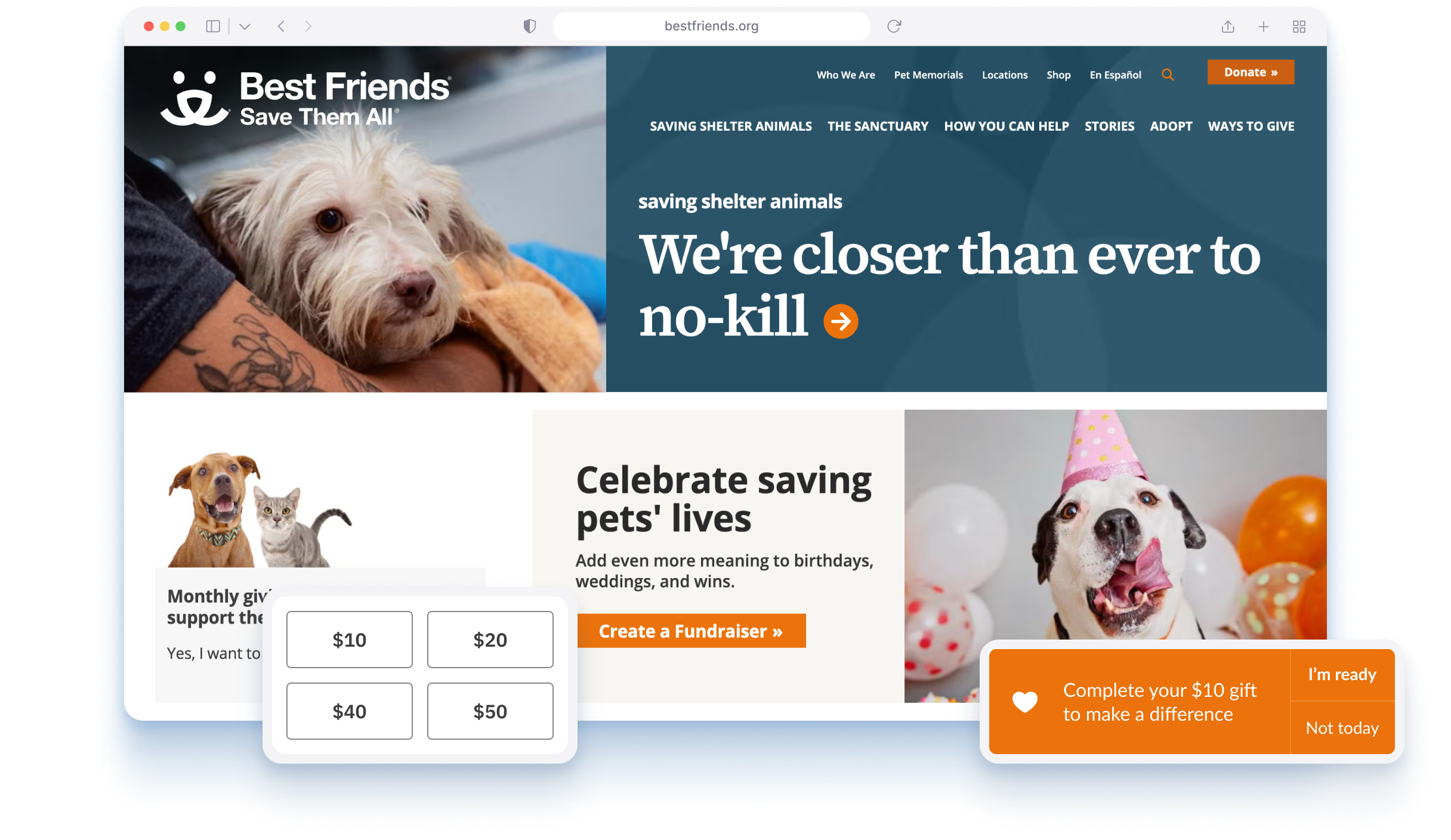 Best Friends Animal Society