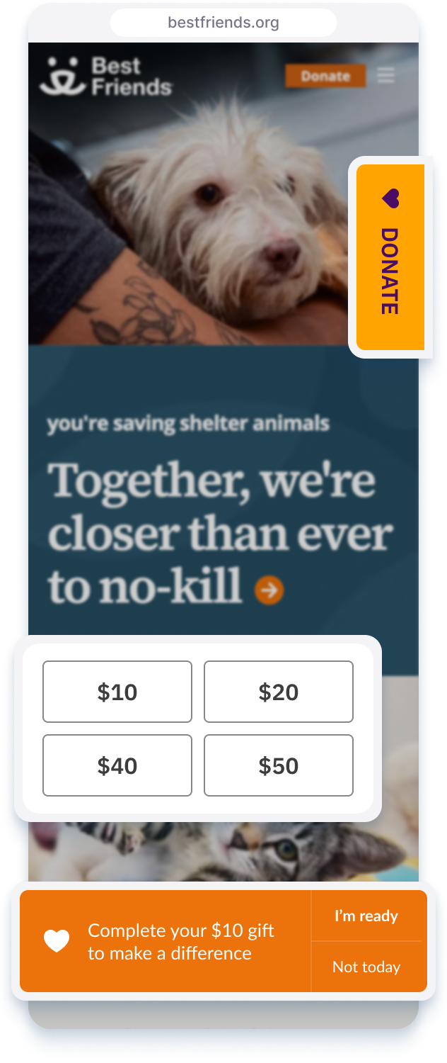 Best Friends Animal Society