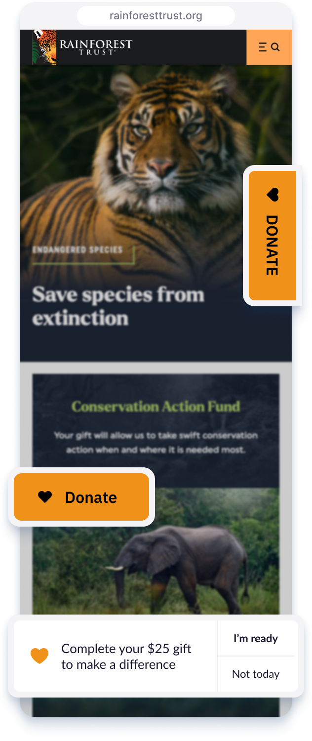 Rainforest Trust