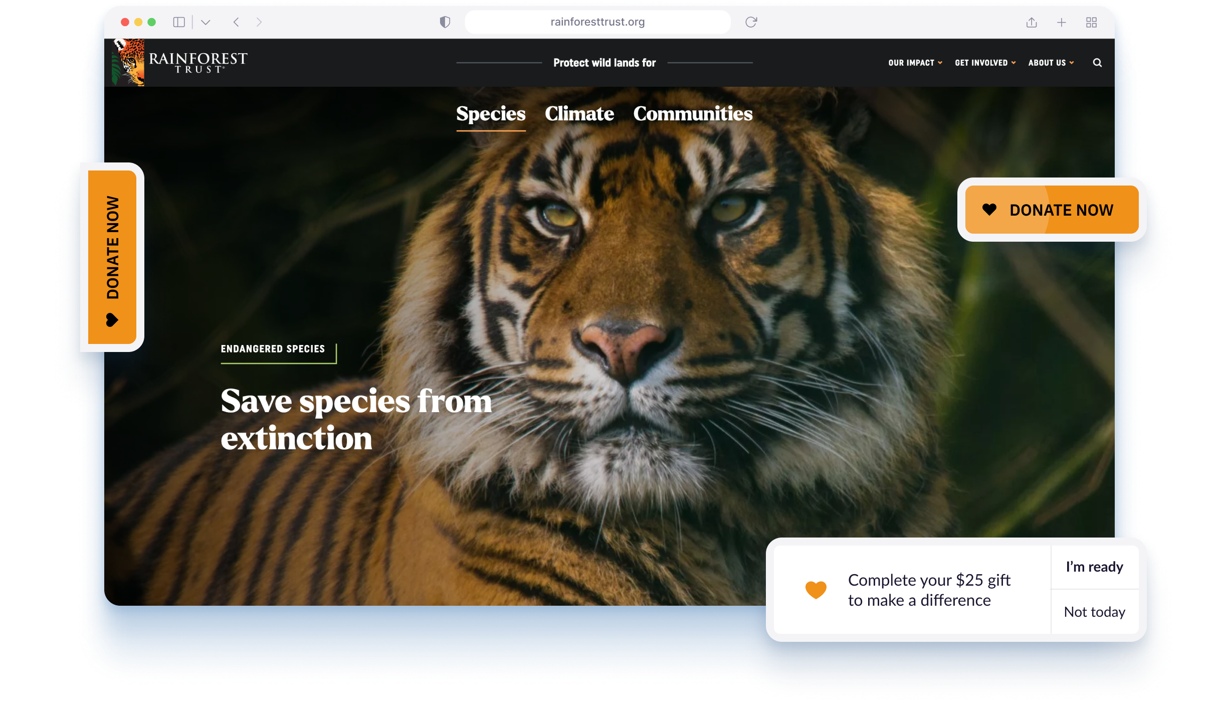 Rainforest Trust