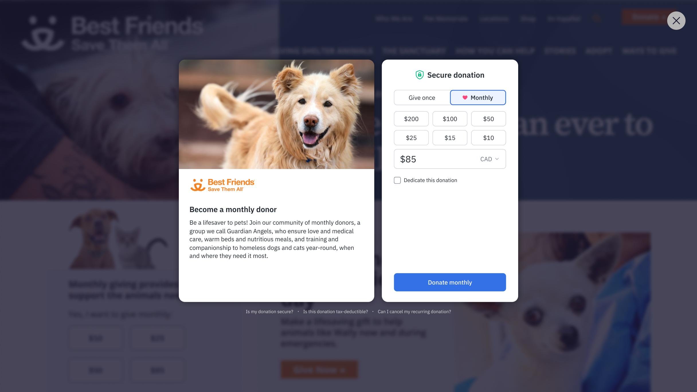 Best Friends Animal Society